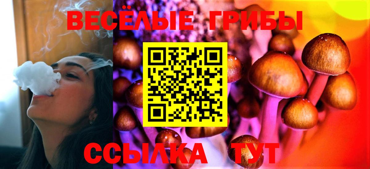 Псилоцибиновые грибы прущие грибы Борзя