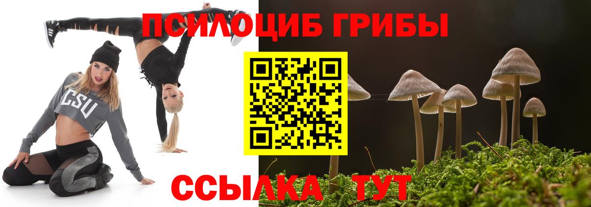 Галлюциногенные грибы Magic Shrooms  Вход с VPN  Псилоцибиновые грибы MAGIC MUSHROOMS  Борзя 