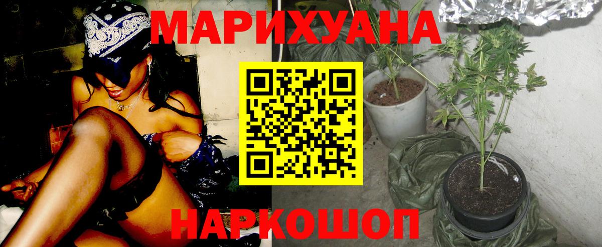 Бошки Шишки индика Борзя